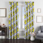 acceptable and unacceptable cartoon lemongrab window curtain 0
