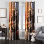 amari cooper fired player window curtain 0