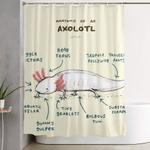anatomy of an axolotl shower curtain 0