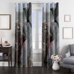 crow and character on apex legends window curtain 0