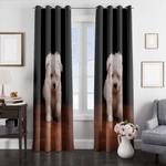 dog walking window curtains 0