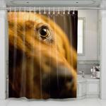 eyes of brown dog shower curtains 0