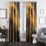 eyes of brown dog window curtains 0