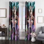 goku and another character window curtains 0