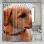pose dog shower curtains 0