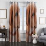 pose dog window curtains 0
