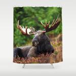relax moose shower curtain 0