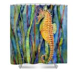 seahorse shower curtain 0