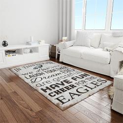 nfl philadelphia eagles football sport team logo carpet rectangle area rug for living room home room decor gift for fans light room pde37