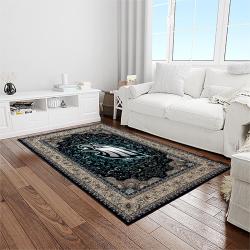 nfl philadelphia eagles football sport team logo carpet rectangle area rug for living room home room decor gift for fans light room plpe2
