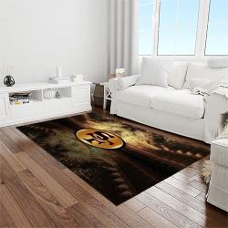 nfl san francisco 49ers football sport team logo carpet rectangle area rug for living room home room decor gift for fans light room sfre35