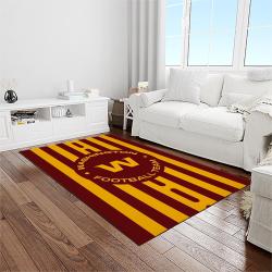nfl washington commanders football sport team logo carpet rectangle area rug for living room home room decor gift for fans light room wtc14