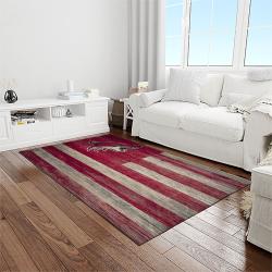 nhl arizona coyotes hockey sport team logo carpet rectangle area rug for living room home room decor gift for fans light room azc20