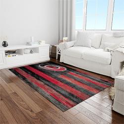 nhl carolina hurricanes hockey sport team logo carpet rectangle area rug for living room home room decor gift for fans light room chr13