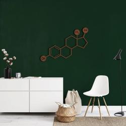 estrogen molecule metal wall art laser cut metal sign science art chemistry art decor for room 1