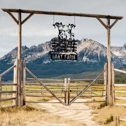 goat farm custom metal signs gift for farmer 1