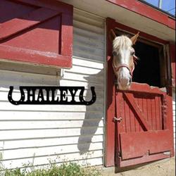 horse stall name plate horse lover name sign horse farm personalized metal sign 1
