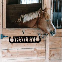 horse stall name plate horse lover name sign horse farm personalized metal sign 2