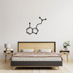magic mushroom psilocin molecule science art chemistry art custom metal signs 1