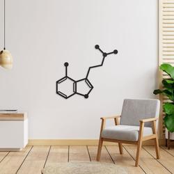 magic mushroom psilocin molecule science art chemistry art custom metal signs 2