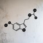 melatonin molecule science art chemistry art custom metal signs 0