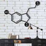 serotonin molecule metal wall art laser cut metal sign science art chemistry art decor for room 0