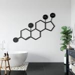 testosterone molecule metal wall art laser cut metal sign biology chemistry art decor for room 0