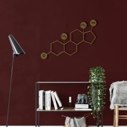 testosterone molecule metal wall art laser cut metal sign biology chemistry art decor for room 2
