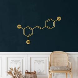 wine molecule metal wall art laser cut metal sign biology chemistry art decor for room 3