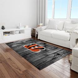 nfl cincinnati bengals football team logo sport carpet area rug who dey nation gift for friends light room cnns7