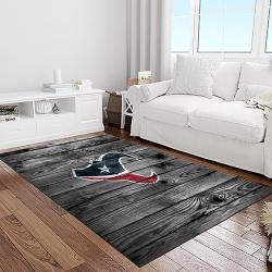 nfl houston texans football team logo sport carpet area rug home decor best gift for friends light room ht48