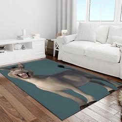 shrek cartoon characters carpet area rug home decor gift best present for friends light room sk12