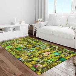 shrek cartoon characters carpet area rug home decor gift best present for friends light room sk13