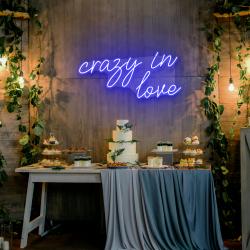 crazy in love led neon sign light 1