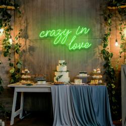 crazy in love led neon sign light 2