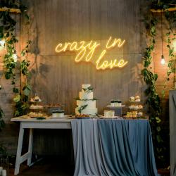 crazy in love led neon sign light 4