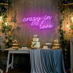 crazy in love led neon sign light 5