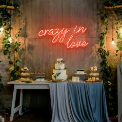 crazy in love led neon sign light 6