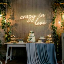 crazy in love led neon sign light 7