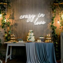 crazy in love led neon sign light 8