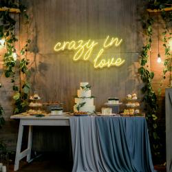 crazy in love led neon sign light 9