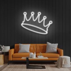 crow led neon sign light 7