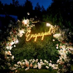 engaged led neon sign light 3