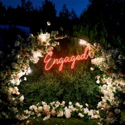 engaged led neon sign light 6