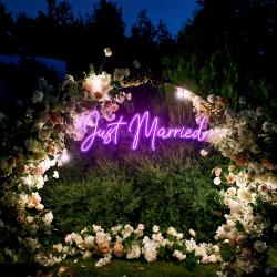 just married led neon sign light 6