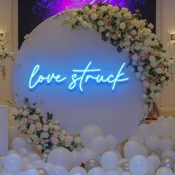 love struck led neon sign light 3
