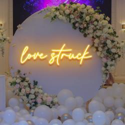 love struck led neon sign light 4