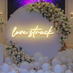 love struck led neon sign light 8