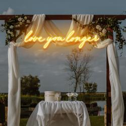 love you longer led neon sign light 3