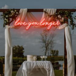 love you longer led neon sign light 6